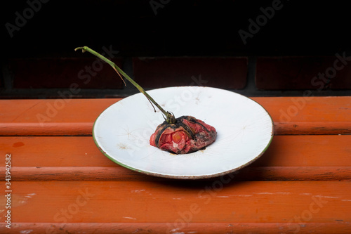 Smashed vine tomato on plate photo