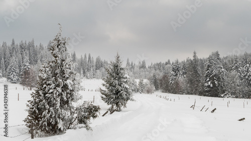 Winter in the Carpathians (Ukraine)