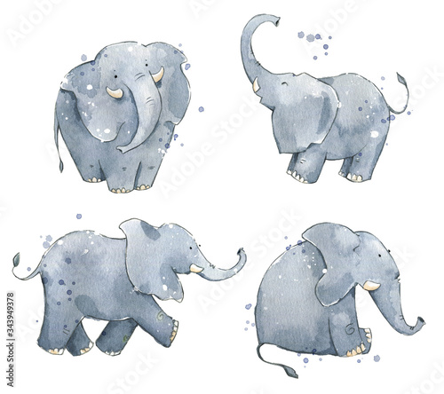 Photography Set of watercolour elephants, hand painted illustration