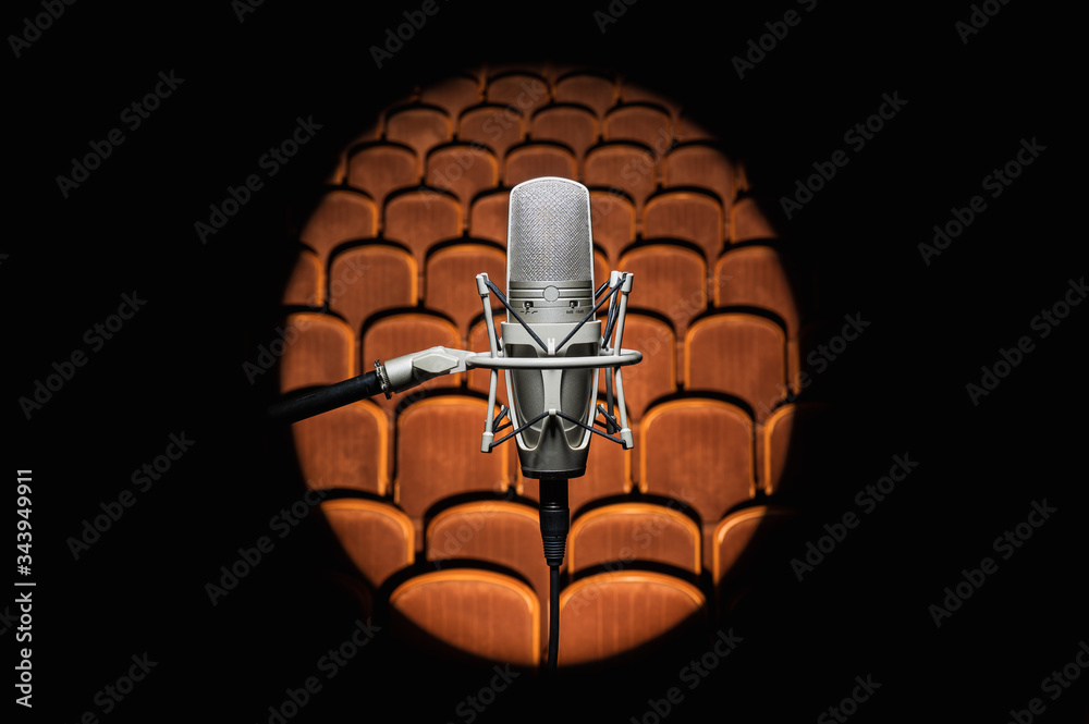 Professional, studio microphone against the background of the auditorium. Located located in the center of the frame. A bright beam illuminates the background. Professional, studio microphone against the background of the auditorium. Located located in the center of the frame. A bright beam illuminates the background.