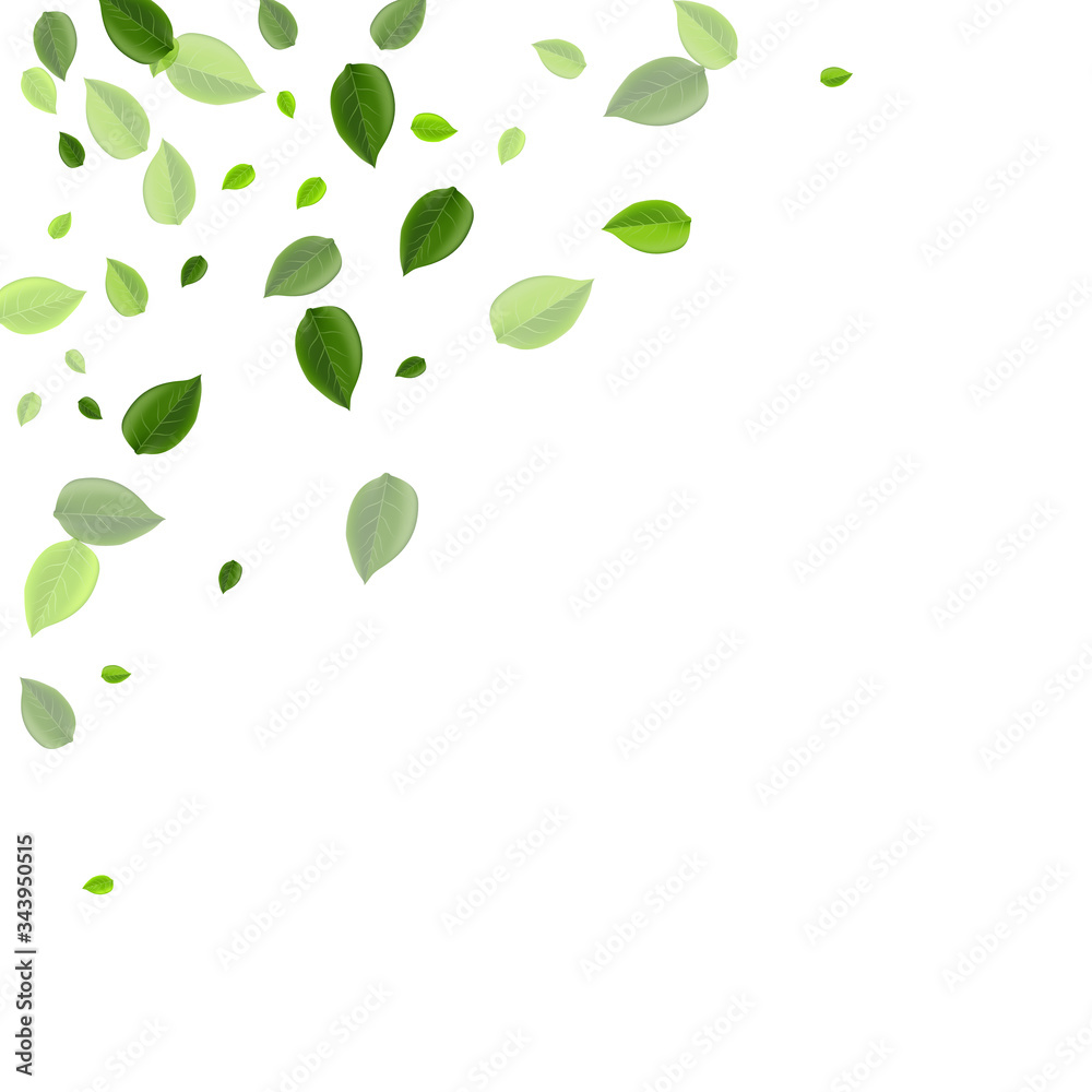 Green Foliage Abstract Vector Wallpaper. Green Foliage Abstract Vector Wallpaper.