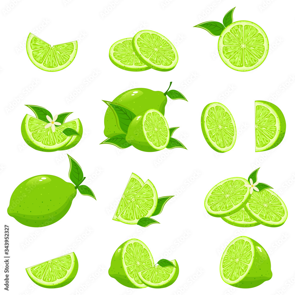 Cartoon lime. Limes slices, green citrus fruit with leaves and lime blossom. Top view. Lime sliced in various pieces, juice in glasses, leaves, flowers, grains, drops.