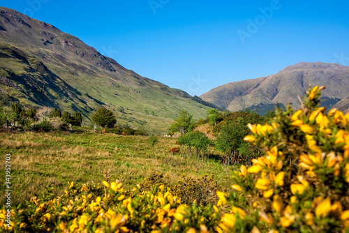 Landscape of the isle of Skye  Scotland