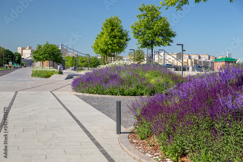 Foto Amazing nature on Crimean embankment and stone tiles on the walkways