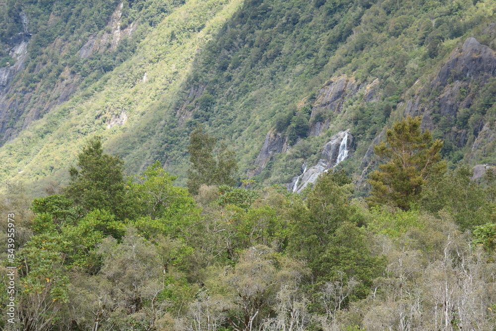 Fototapeta premium New Zealand