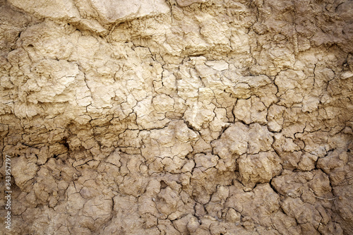 Dry mud soil