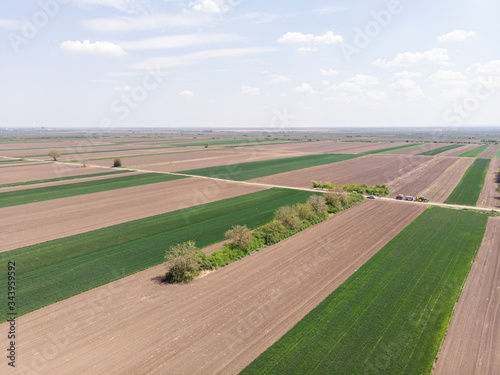 Aerial view of agriculture green wheat fields. Agriculture concept with grain fields in the spring