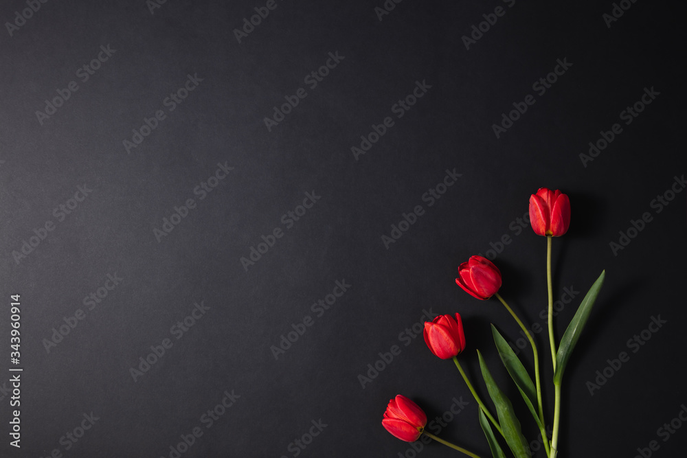 Mourning four of the flower for mourning. Tulips on a dark background. Space for funeral text. Mourning four of the flower for mourning. Tulips on a dark background. Space for funeral text.