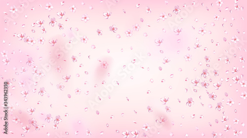Nice Sakura Blossom Isolated Vector. Beautiful Falling 3d Petals Wedding Frame. Japanese Bokeh Flowers Illustration. Valentine, Mother's Day Tender Nice Sakura Blossom Isolated on Rose