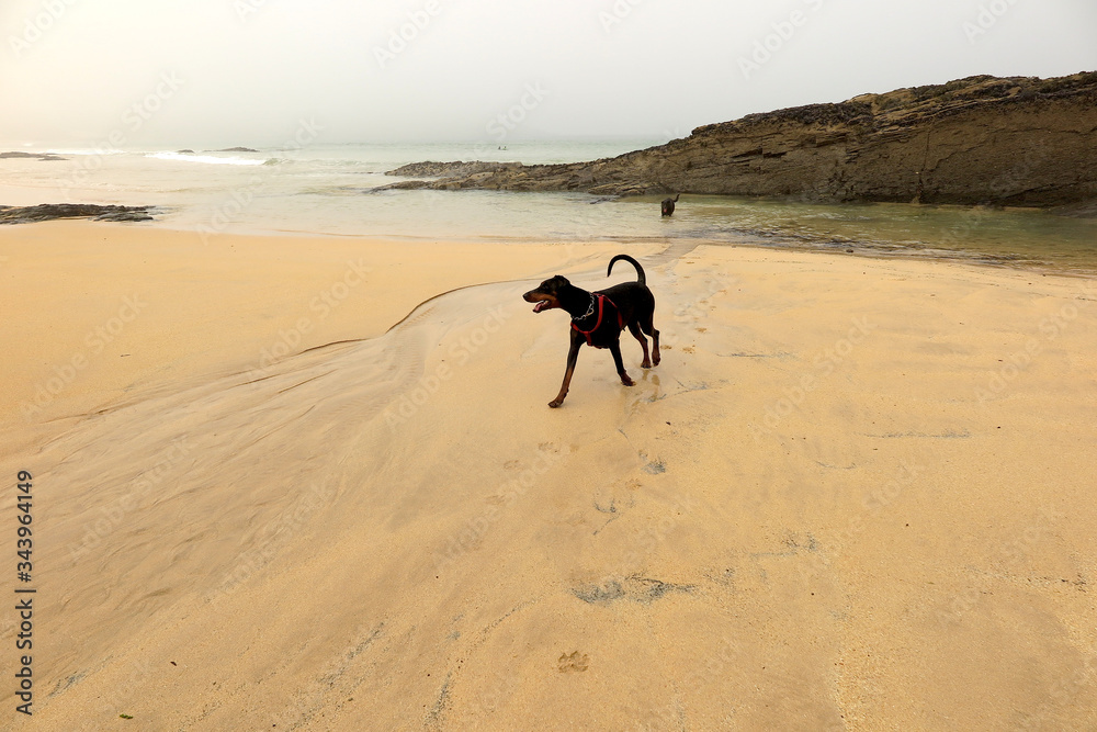 harlin bay cornwall covid 19 lockdown harlin bay cornwall covid 19 lockdown