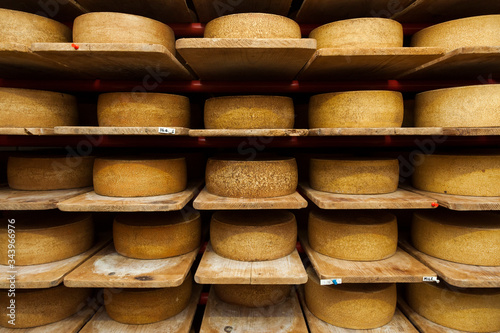 Wheels of raw cow milk cheese in creamery