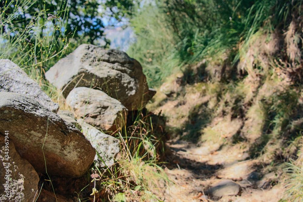 Obraz premium pathway on a hike at lake como in italy