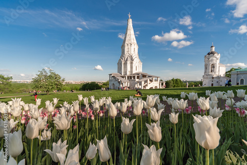 Photography Moscow, Russia-may 2019: Blooming tulips in the Kolomenskoye Museum reserve