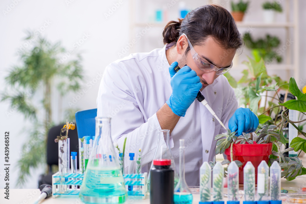 Young male chemist working in the lab Young male chemist working in the lab