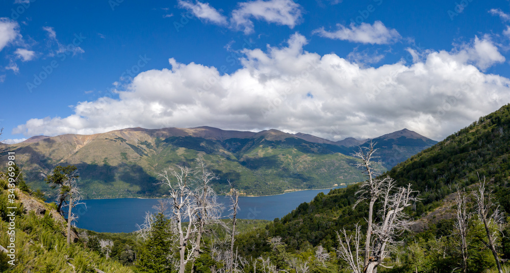 panoramic view of patagonic lake