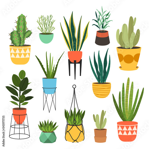 Indoor plants flat color illustrations set. Realistic houseplants in beige pot on metal stands. Exotic flowers with stems and leaves. Ficus, snake plant, sansevieria isolated botanical design element