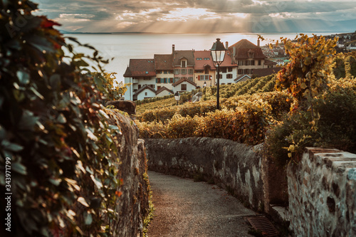 Lavaux, Switzerland: Lake Geneva and traditional swiss hauses during sunset seen from Lavaux vineyard hiking trail in Canton Vaud