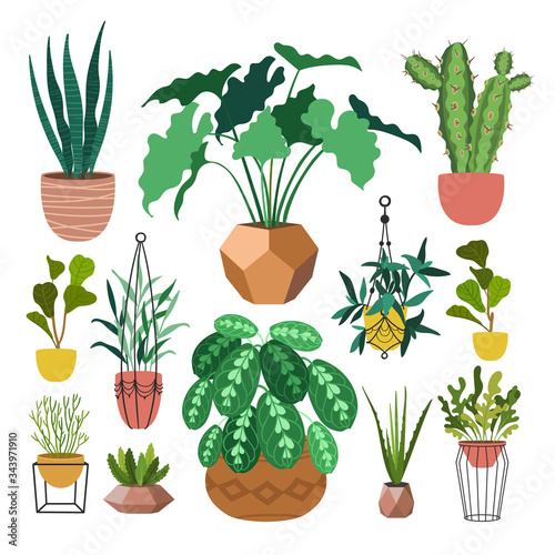 Indoor plants flat color illustrations set. Realistic houseplants in beige pot on metal stands. Exotic flowers with stems and leaves. Ficus, snake plant, sansevieria isolated botanical design element