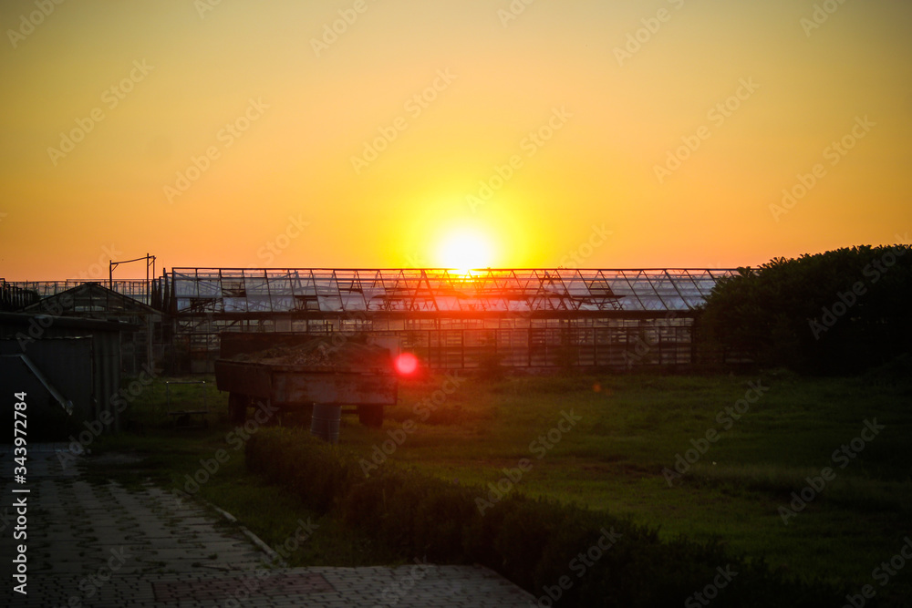 Farm sunset
