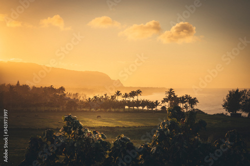 Beautiful Hawaiian sunset in Kauai