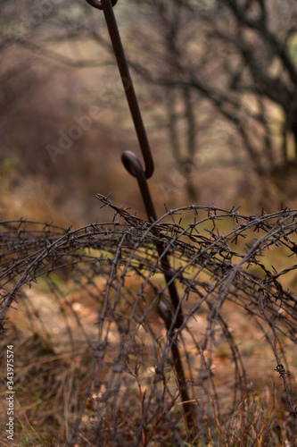 metallic Barbed wire