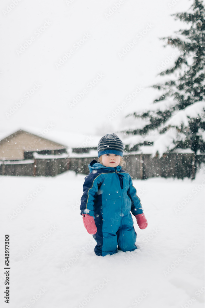 A portrait of a young girl in the snow in her backyard. A portrait of a young girl in the snow in her backyard.