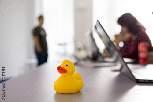 Rubber duck during computer classes