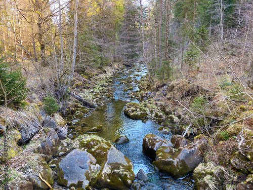 The alpine river Rümlig (Ruemlig or Rumlig) in the subalpine Eigental valley, Eigenthal - Canton of Lucerne, Switzerland (Kanton Luzern, Schweiz) photo