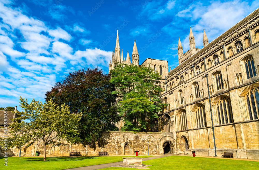 View of Peterborough Cathedral in England