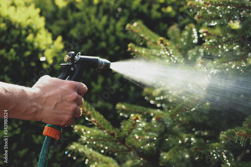 Watering garden equipment - hand holds the sprinkler hose for irrigation plants. Gardener hand with watering hose.
