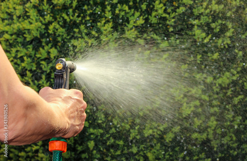 Watering garden equipment - hand holds the sprinkler hose for irrigation plants. Gardener hand with watering hose.