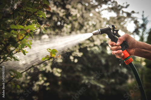 Watering garden equipment - hand holds the sprinkler gun for irrigation plants. Gardener hand with watering hose.