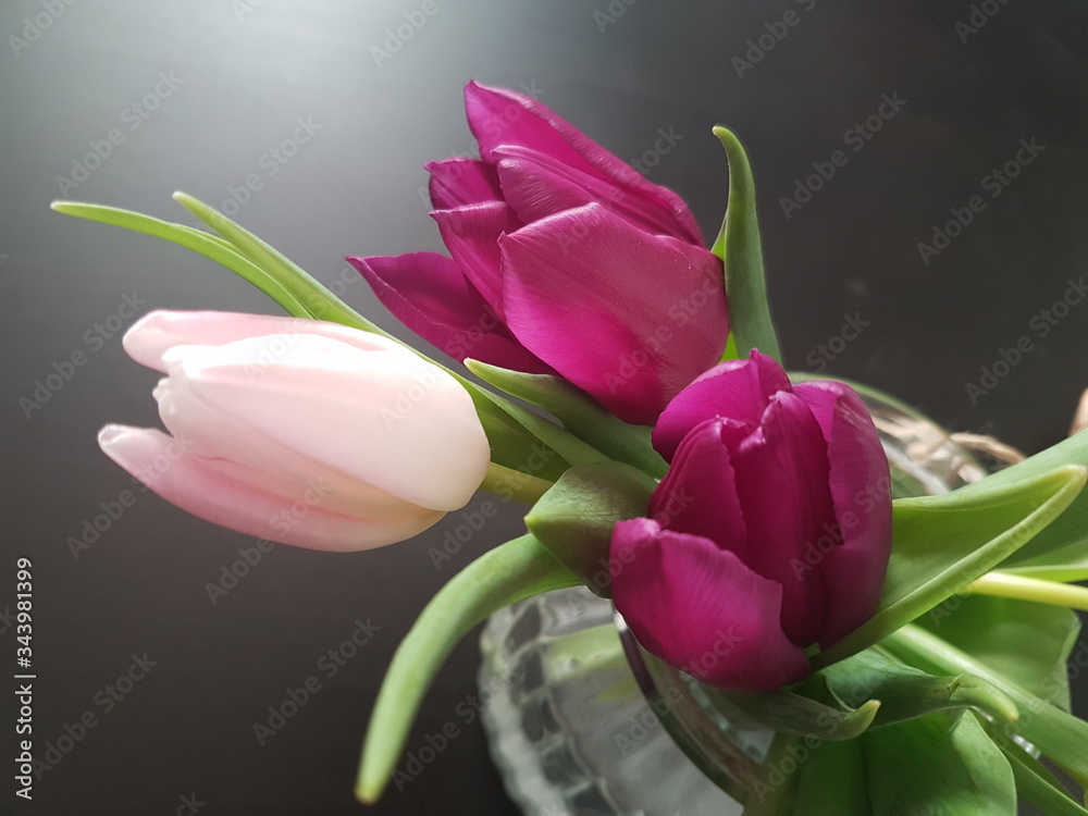 Naklejka premium bouquet of pink tulips