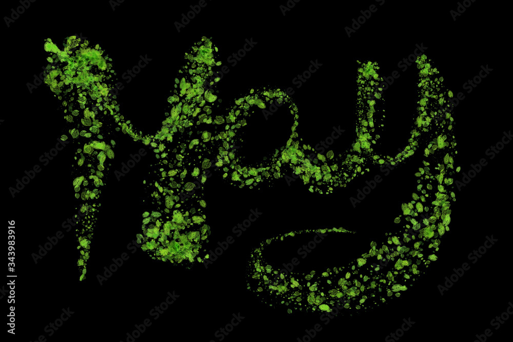 Fototapeta premium The month of May done in green leaves on a black background. Part of a calendar series