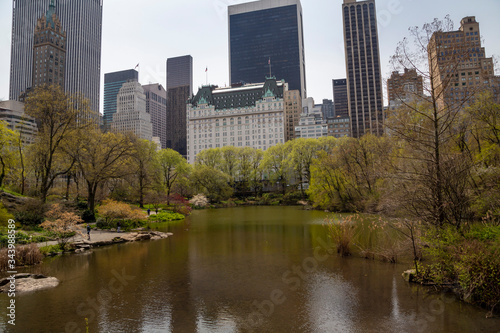 Fototapeta Naklejka Na Ścianę i Meble -  Spring 2020-Coronovirus. Stay safe NY..Central Park, New York City.