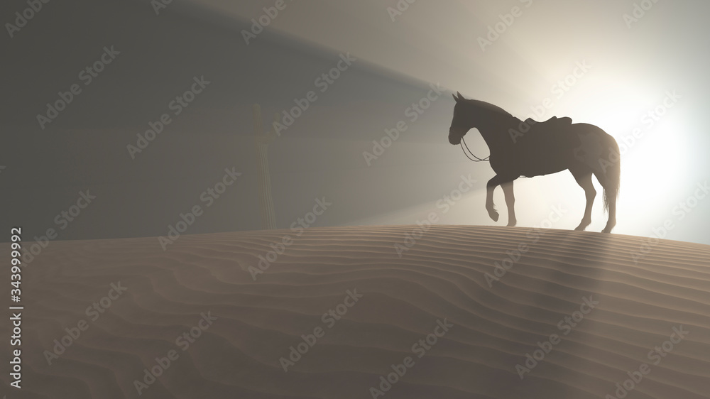 Fotografie lonely horse in a field