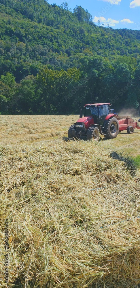 Obraz premium tractor in the field