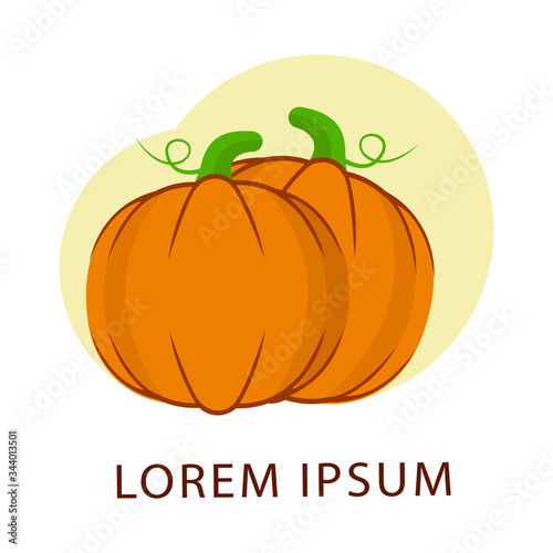 Pumpkins color logo vector. Orange pumpkin vector illustration. Autumn halloween or thanksgiving pumpkin, vegetable graphic icon