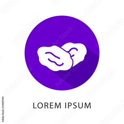 Vector illustration of raisin and dry logo. Date fruit logo. Isolated date fruit on white background
