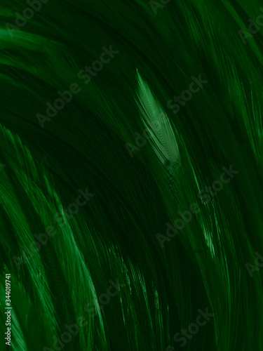 Beautiful abstract white and green feathers on white background and soft white feather texture on white pattern and green background, feather background , green banners photo