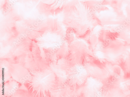 Beautiful abstract white and pink feathers on white background and soft white feather texture on pink pattern and pink background, feather background, pink banners