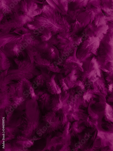 Beautiful abstract white and purple feathers on white background and soft white feather texture on white pattern and purple background, feather pink background , purple banners