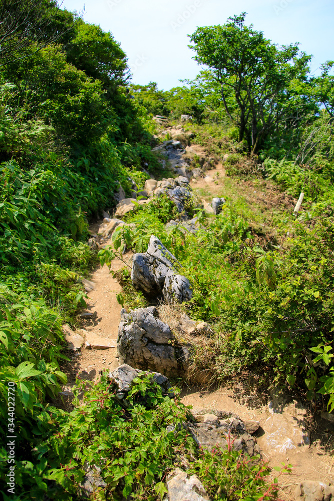 伊吹山 伊吹山