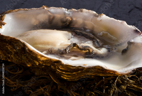 Close up of shucked oyster in shell