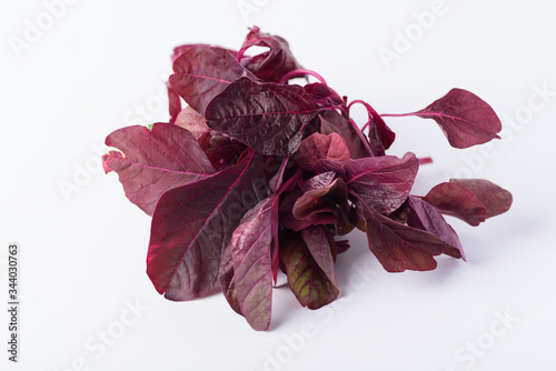Red Thai spinach leaf or edible amaranth (Asian plant) on white background, Organic vegetable