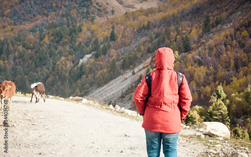 Rear view adult woman solo traveler in red jacket on a road trip walking alone in dirt road surrounded by forest and mountain, Outdoor activity and lifestyle in summer season background. Copy space. photo