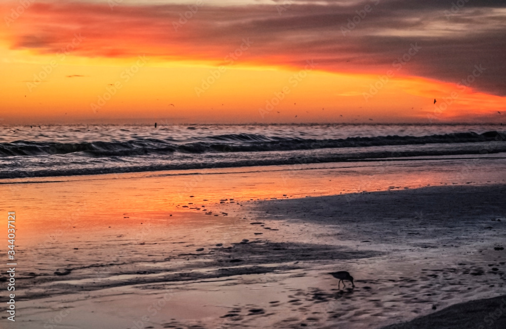 sunset on the beach, sea, sky, ocean, water, dusk, reflection, orange, shore, seascape, 