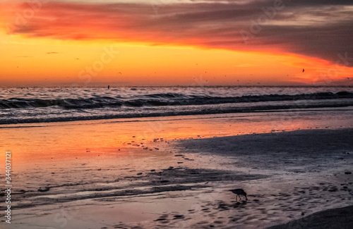 sunset on the beach  sea  sky  ocean  water  dusk  reflection  orange  shore  seascape  