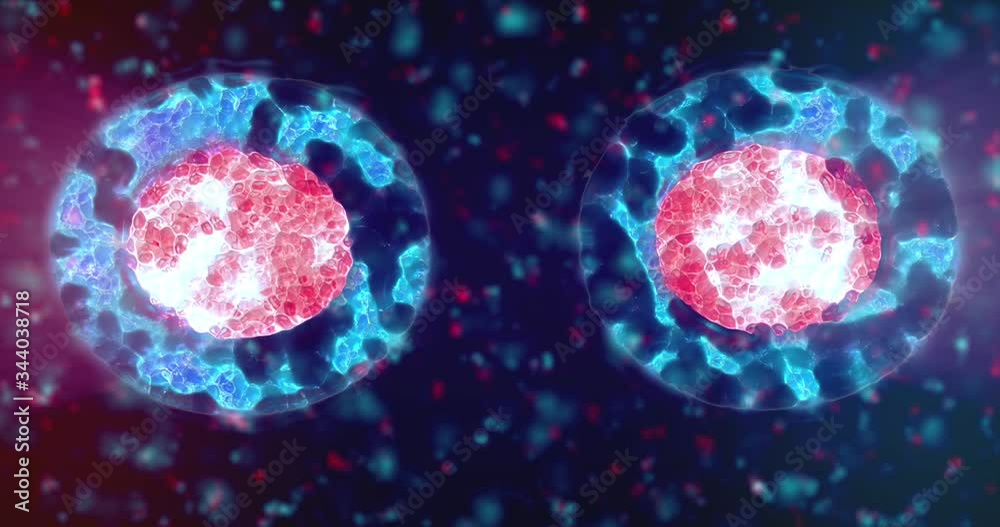Zelle teilen Animation 