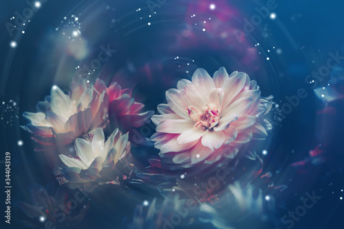 Fototapeta Naklejka Na Ścianę i Meble -  Dramatic flower background; Nature Background